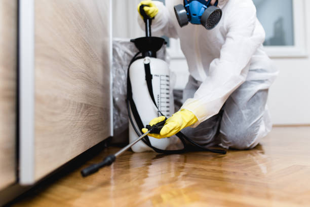 Best Bed Bug Extermination  in Snyder, TX