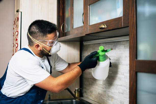 Best Cockroach Control Services  in Snyder, TX