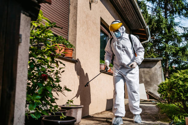 Best Flea Control Services  in Snyder, TX