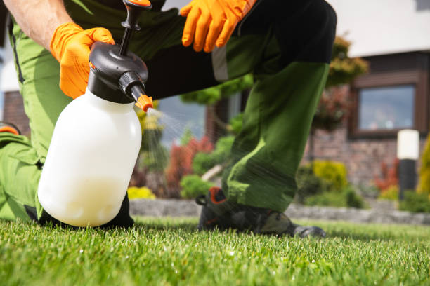 Best Flea Control Services  in Snyder, TX