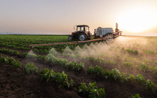Reliable Snyder, TX Pest Control Solutions