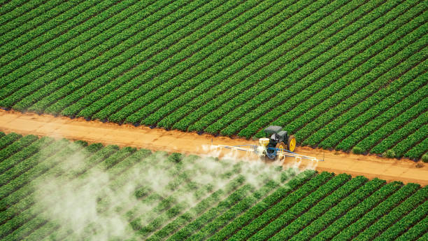 Best Commercial Pest Control Services  in Snyder, TX