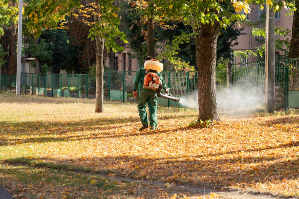 Best Best Pest Control Companies  in Snyder, TX