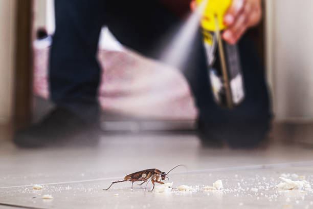 Best Wildlife Control Services  in Snyder, TX