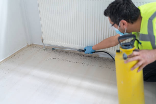 Best Residential Pest Control  in Snyder, TX
